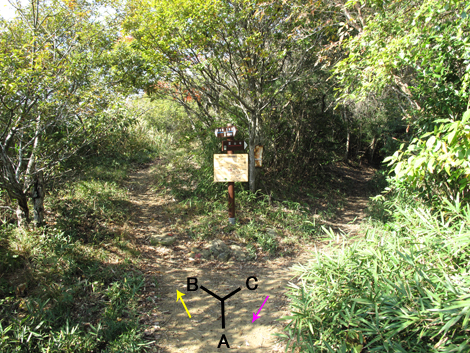 20131116hike (243)